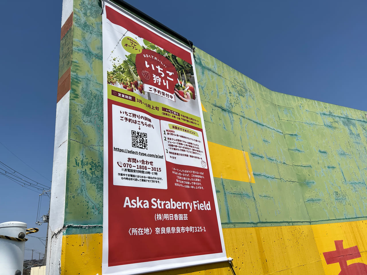 Aska Strawberry Field　富雄中町