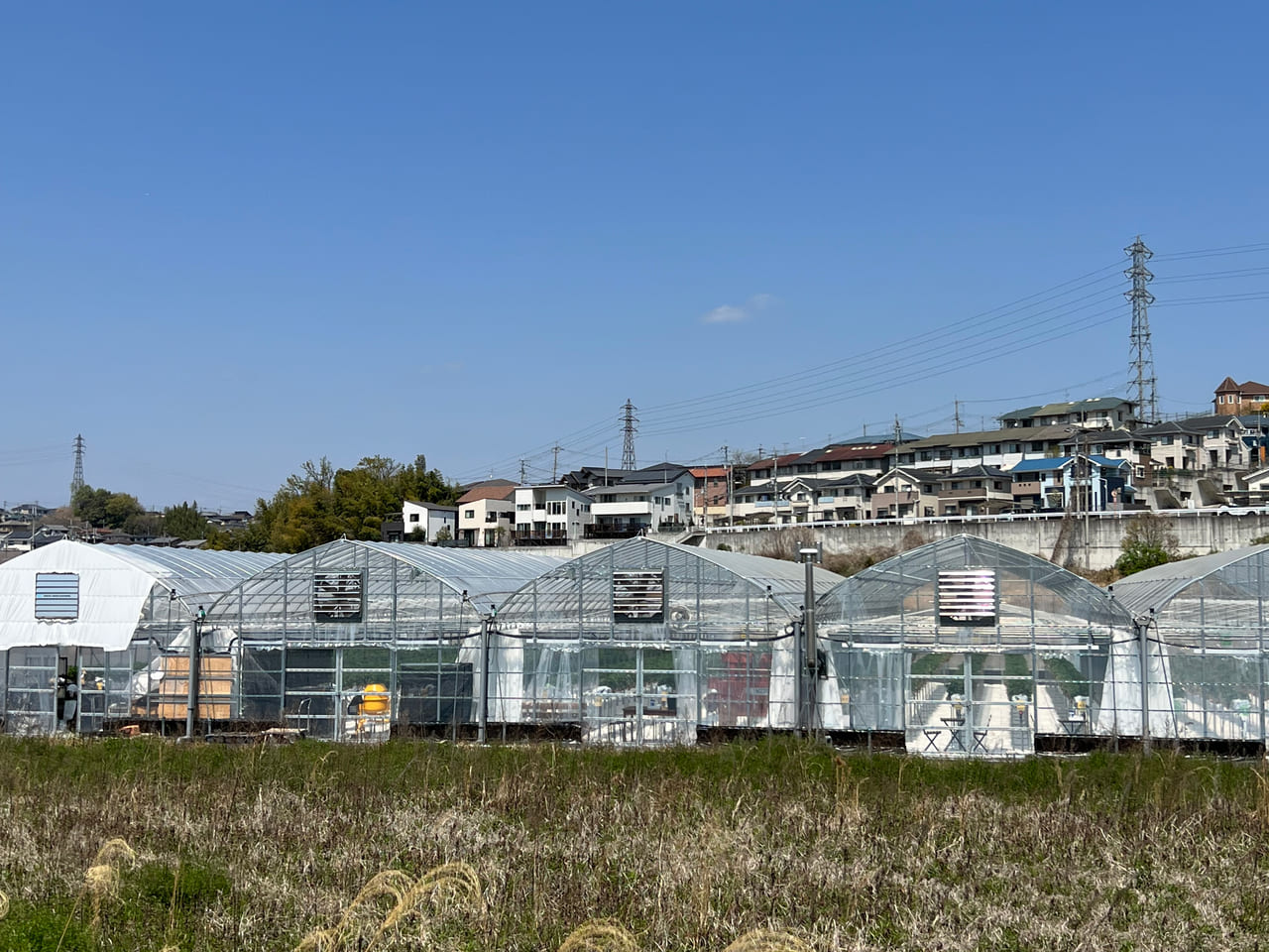 Aska Strawberry Field　富雄中町