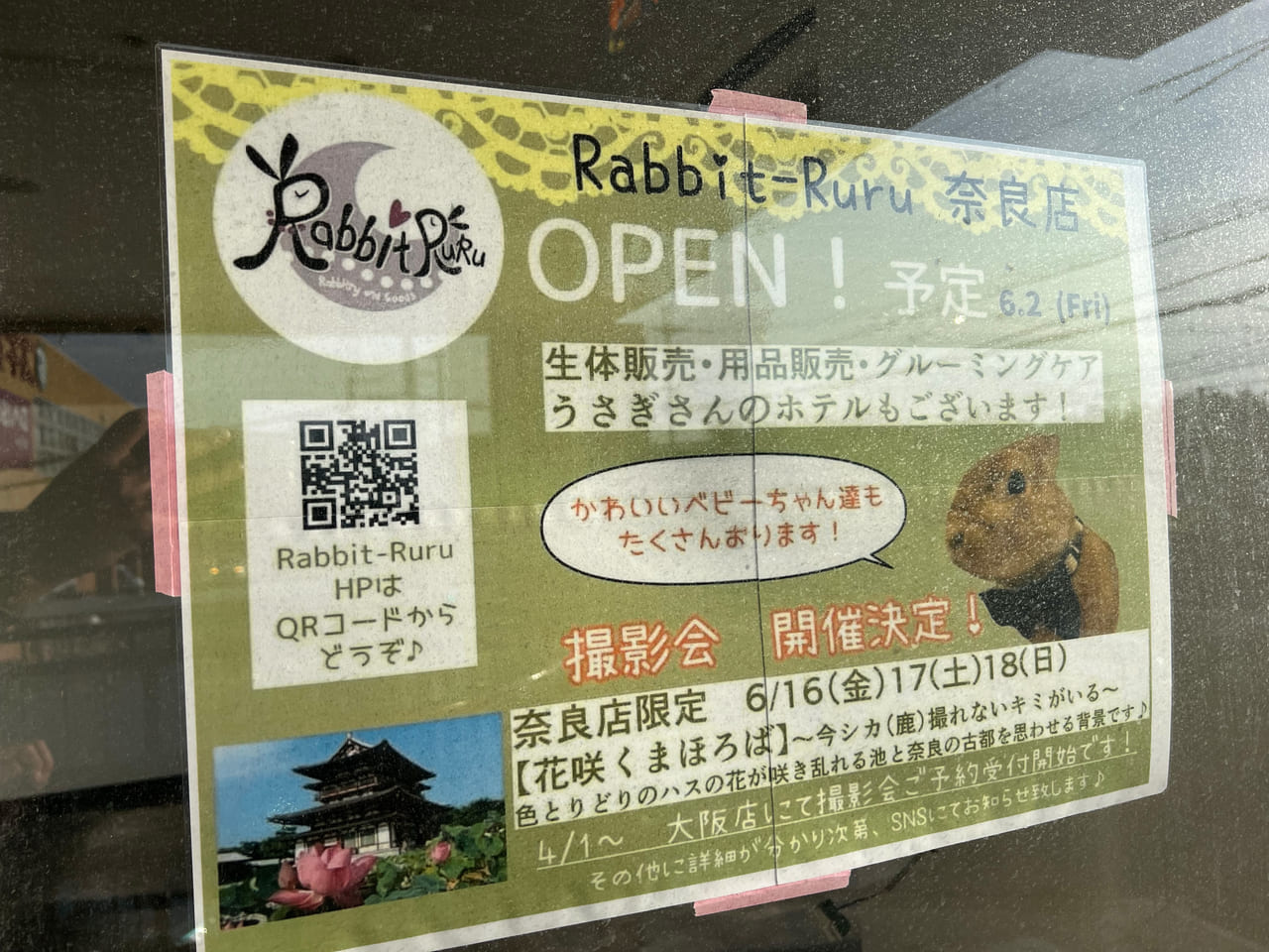 Rabbit-ruru 奈良学園前店